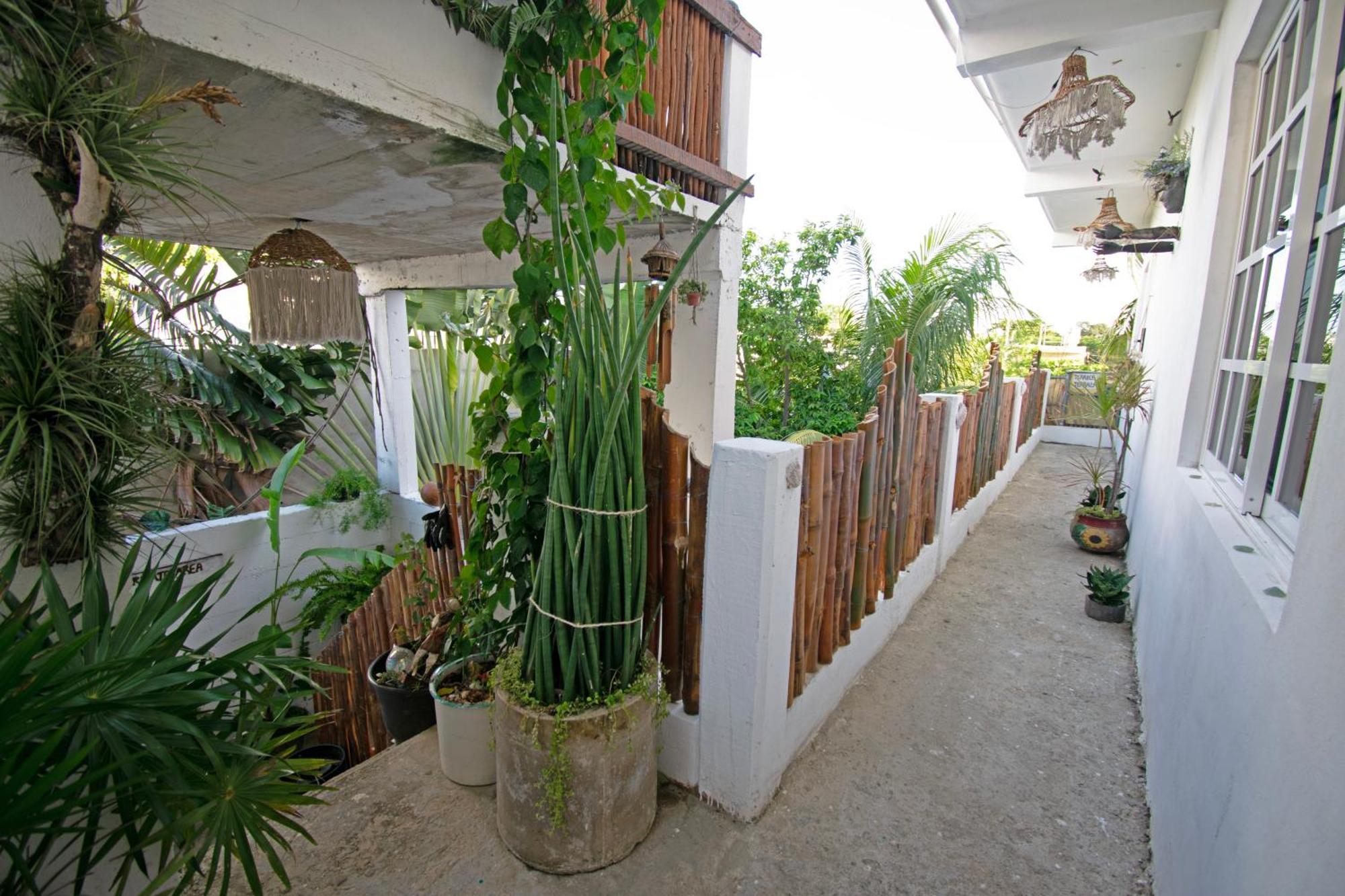 Casa Nomis Канкун Екстер'єр фото